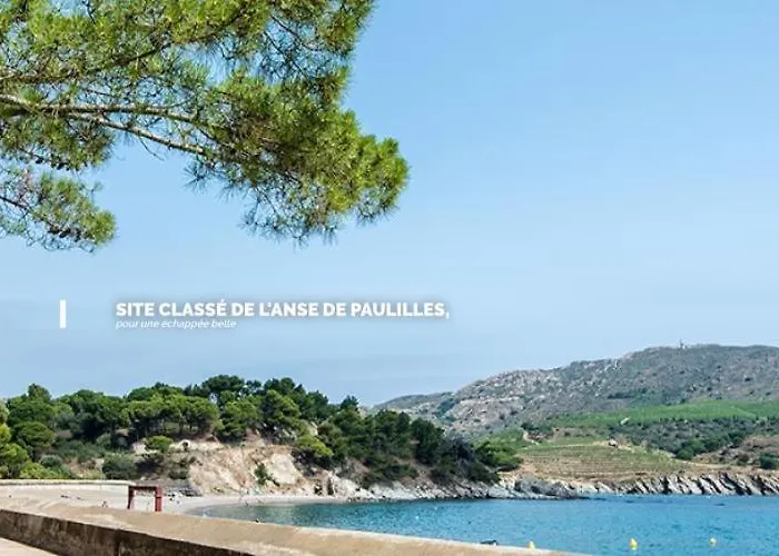 Visite Languedoc Roussillon بيربينيو